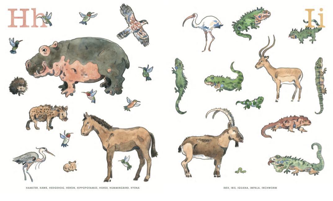 8: An Animal Alphabet — Elisha Cooper